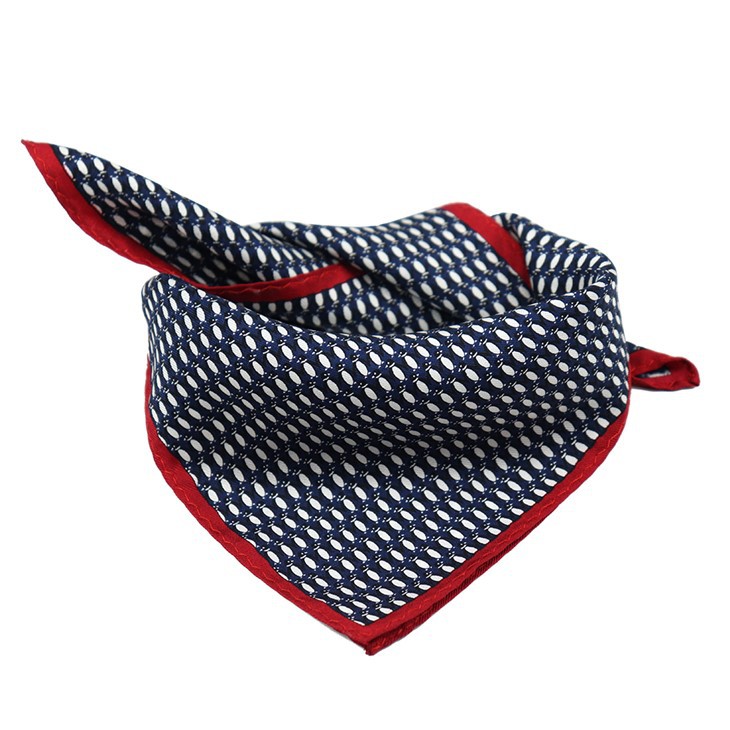 Animal Theme Printed Handkerchiefs